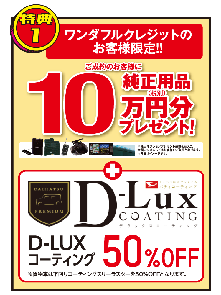 D-LUX COATING デラックスコーティング メンテナンスキット ダイハツ