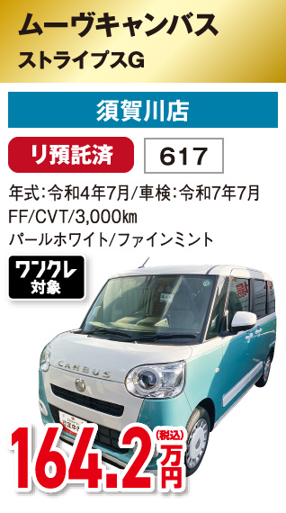 ムーヴキャンバス ストライプスG
