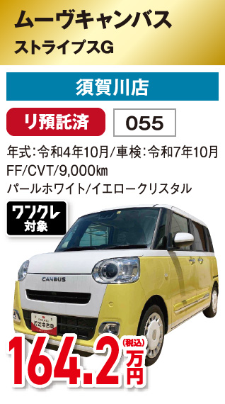 ムーヴキャンバス ストライプスG