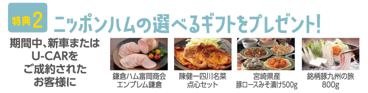 特典2：ニッポンハムの選べるギフトをプレゼント!